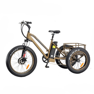 Tricycle électrique Power Fat Tire avec moteur avant 350W